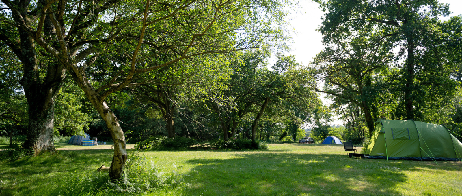 Tents pitched up at Back of Beyond Touring, Camping & Glamping Park